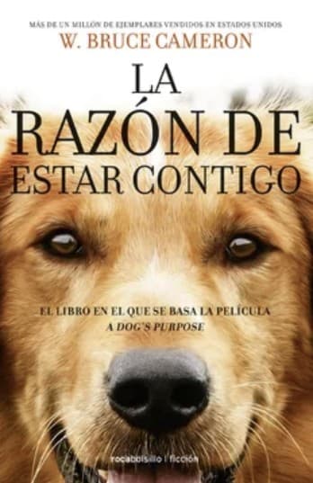 Portada de La razón de estar contigo